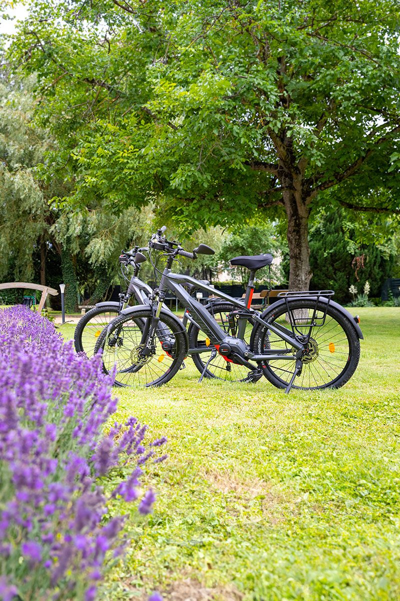 vélos sur l'herbe avec lavande